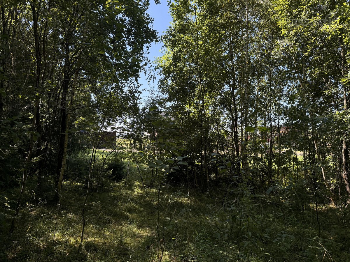 Parduodamas namų valdos sklypas Mažuosiuose - nuotraukos Nr. 16