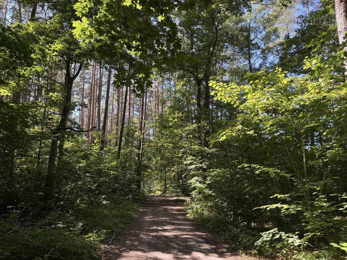 Parduodamas namų valdos sklypas Mažuosiuose - nuotraukos Nr. 24