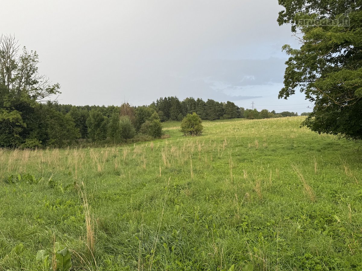 Parduodama 13,44 Ha Žemės Ūkio Paskirties - nuotraukos Nr. 2