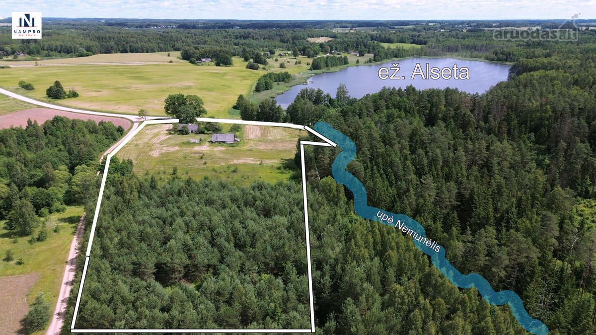 Rokiškio rajone, Alsetos kaime, prie - nuotraukos Nr. 2