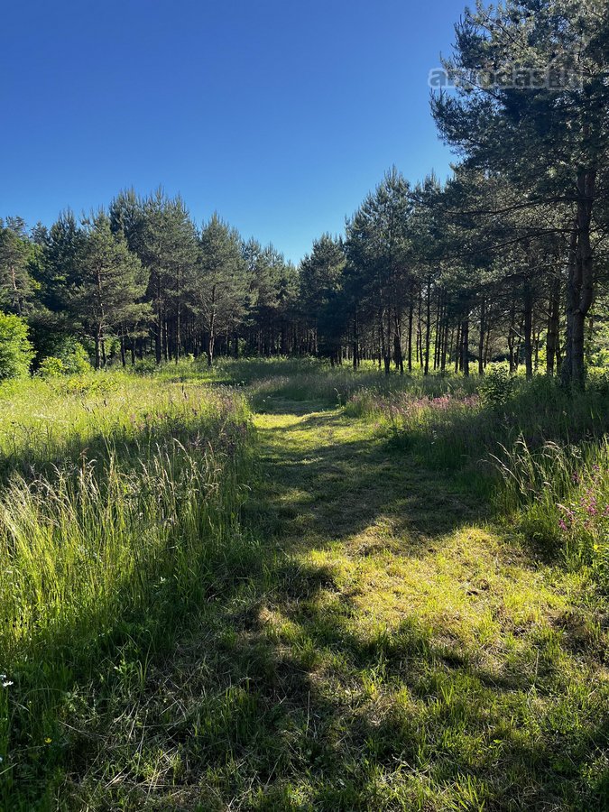 Parduosime sklypo dalį tiems, kurių vertybės - nuotraukos Nr. 10