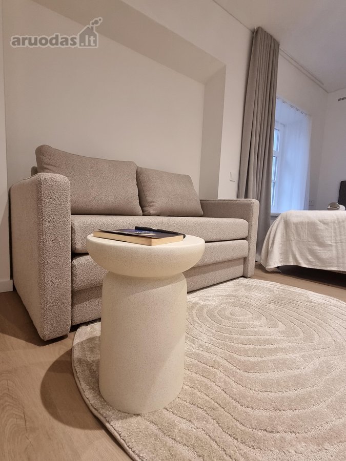 Išnuomojamas naujai suremontuotas ir - nuotraukos Nr. 8