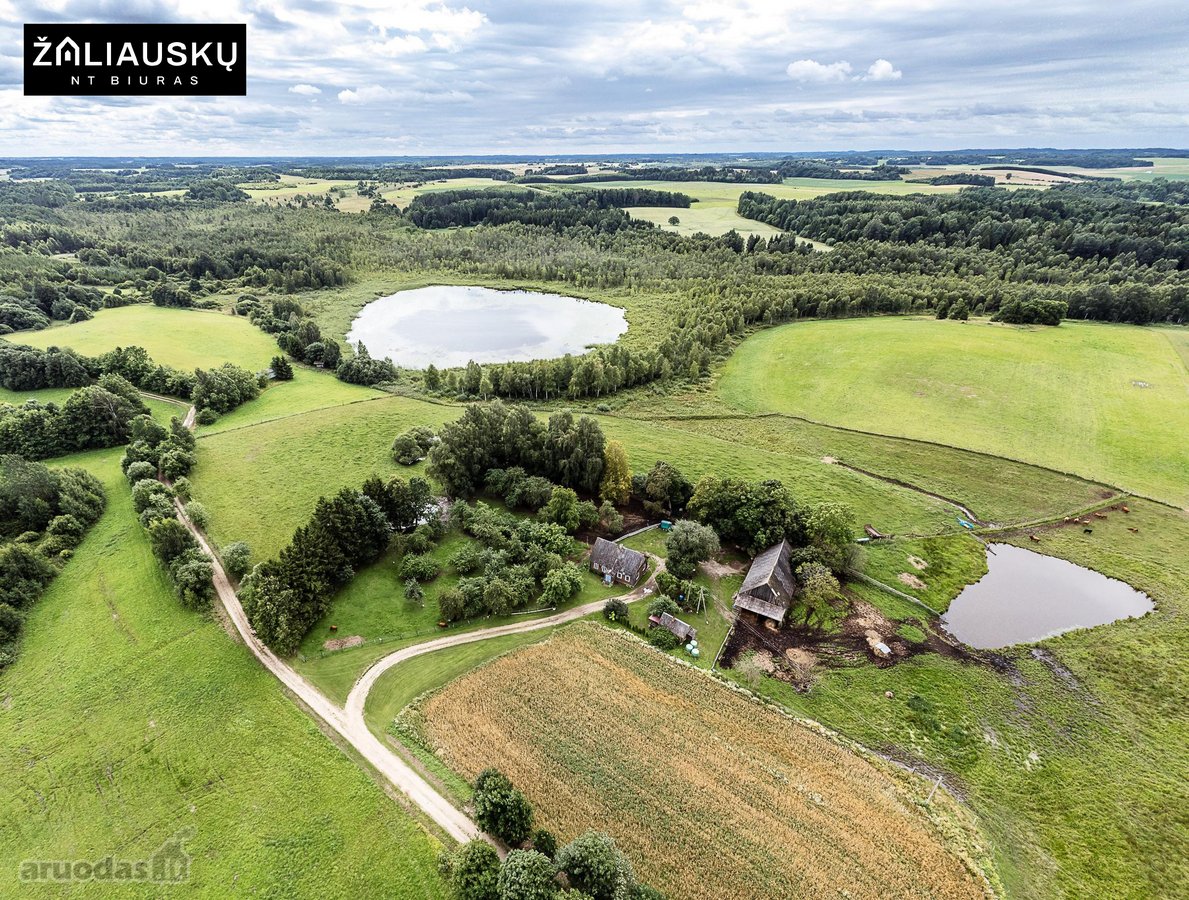 Kviečiame įsigyti unikalią sodybą ramiame ir - nuotraukos Nr. 5