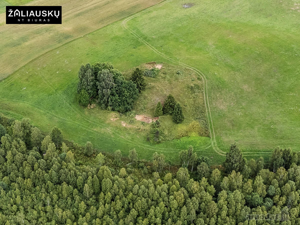 Kviečiame įsigyti unikalią sodybą ramiame ir - nuotraukos Nr. 8