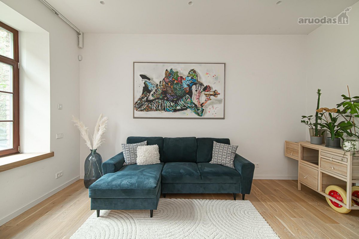 Tai naujai įrengti aukštų lubų apartamentai, - nuotraukos Nr. 5