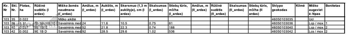 Parduodamas 1.4400 ha ploto pusamžis beržynas - nuotraukos Nr. 2