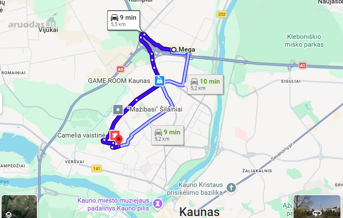 Parduodamas erdvus (180kv.m.) įrengtas naujos - nuotraukos Nr. 10