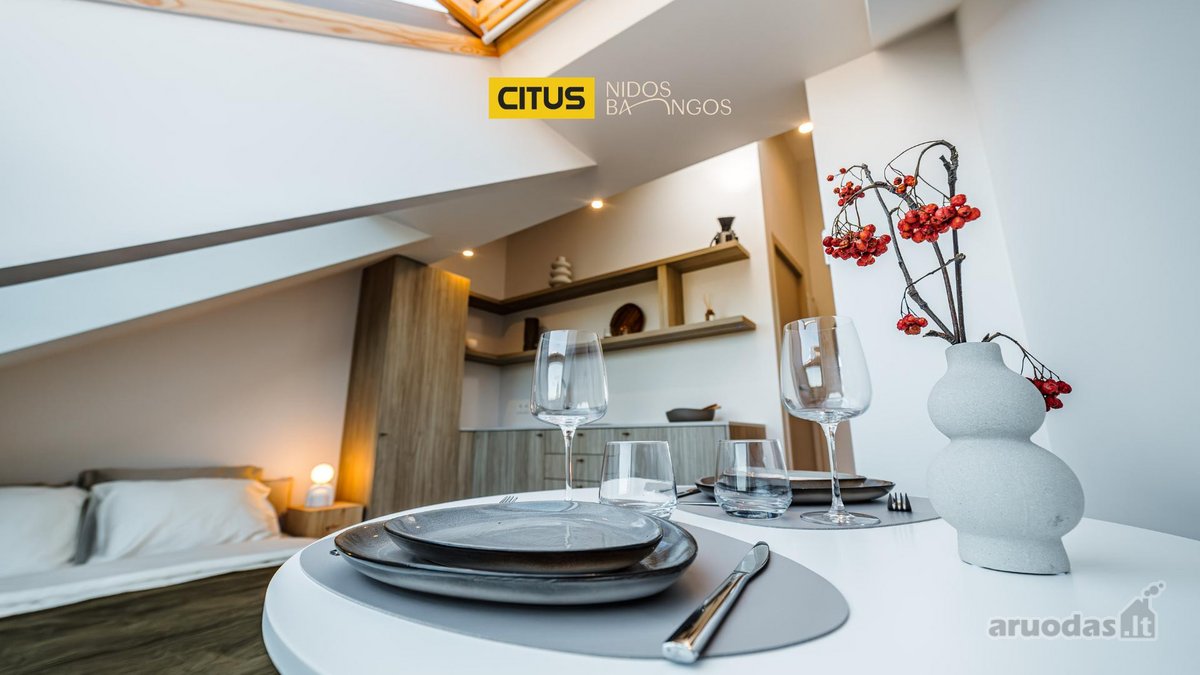 Citus Nidos Bangos – išskirtiniai atostogų - nuotraukos Nr. 4