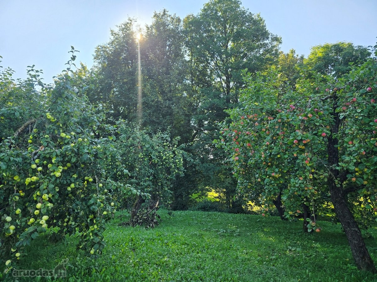 Su sklypu prie ežero, miškų, ežerų, kalvų ir - nuotraukos Nr. 22