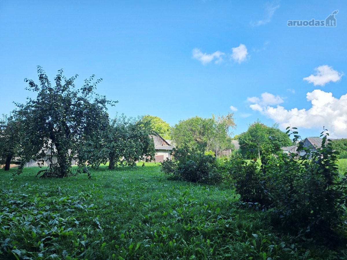 Su sklypu prie ežero, miškų, ežerų, kalvų ir - nuotraukos Nr. 24