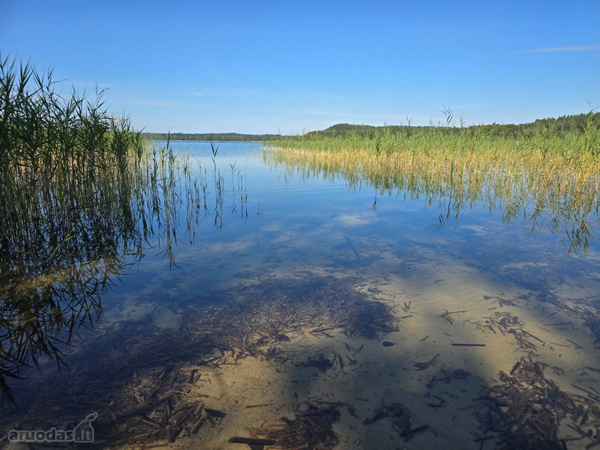 Su sklypu prie ežero, miškų, ežerų, kalvų ir - nuotraukos Nr. 25