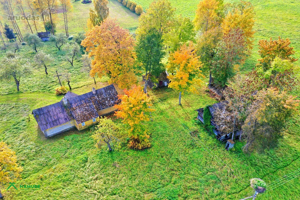 Parduodama išskirtinė, senąja lietuviška - nuotraukos Nr. 2