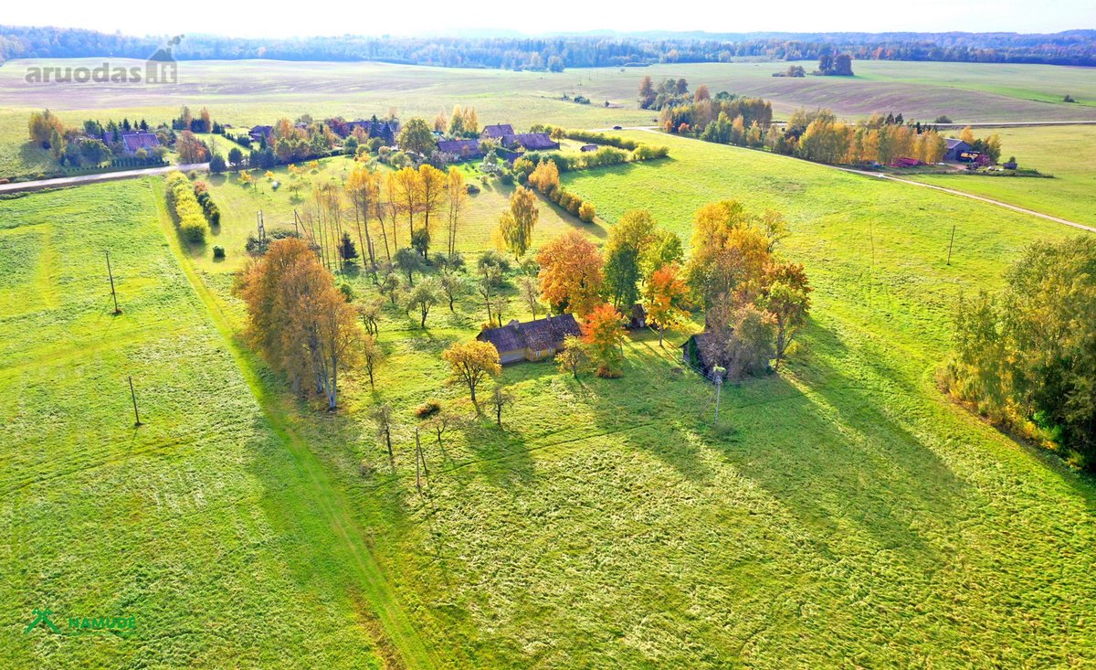 Parduodama išskirtinė, senąja lietuviška - nuotraukos Nr. 4