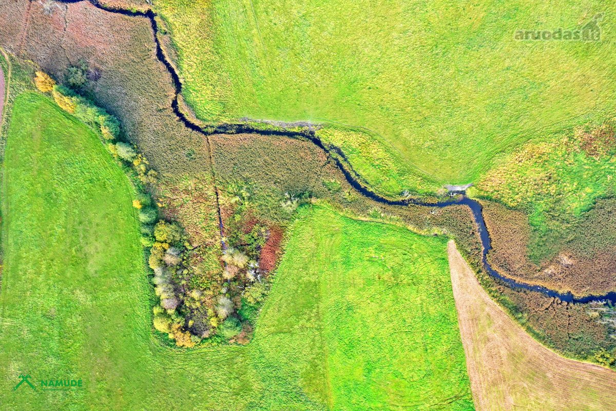 Parduodama išskirtinė, senąja lietuviška - nuotraukos Nr. 5