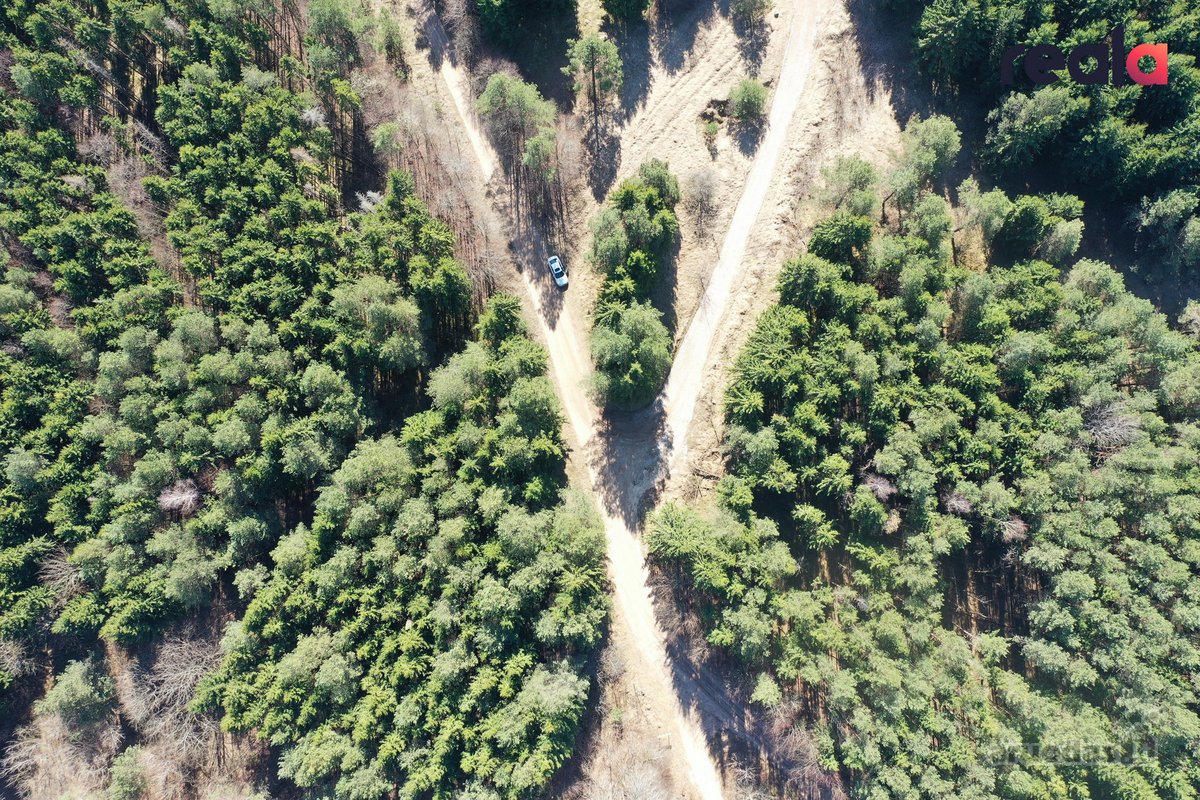 Šalia Neries upės ir Griovių geomorfologinio - nuotraukos Nr. 2