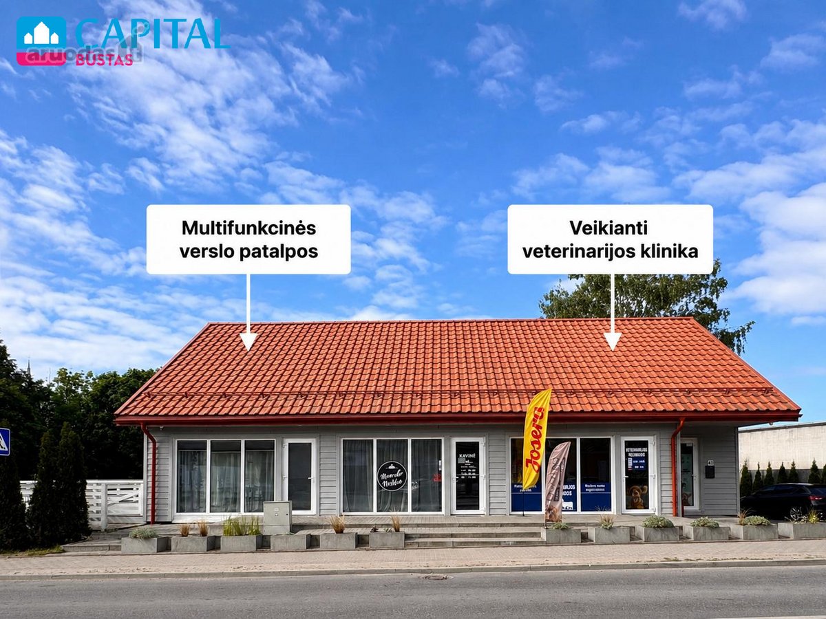 Namas Gyvenimui Ir Verslui 22 A Sklype - nuotraukos Nr. 3