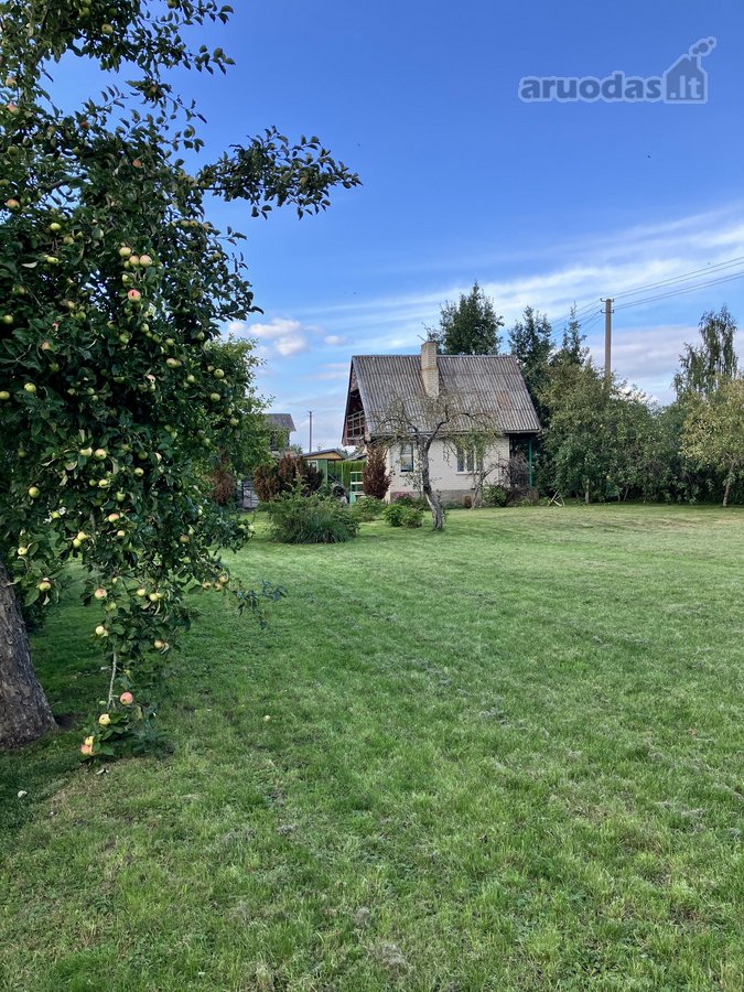 Kėdainiuose, Justinavos sodų bendrijoje - nuotraukos Nr. 2