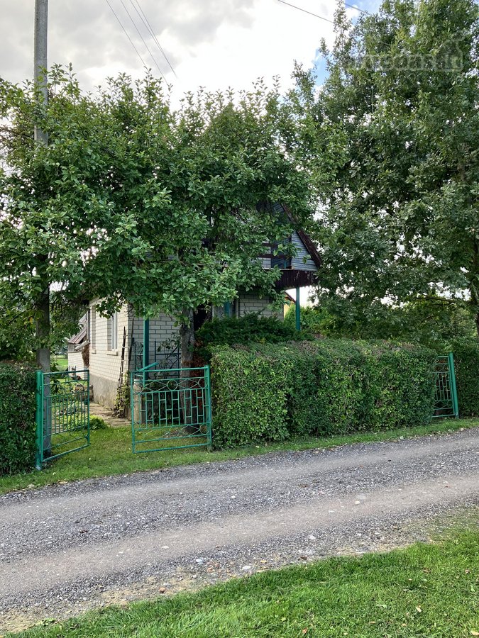 Kėdainiuose, Justinavos sodų bendrijoje - nuotraukos Nr. 4