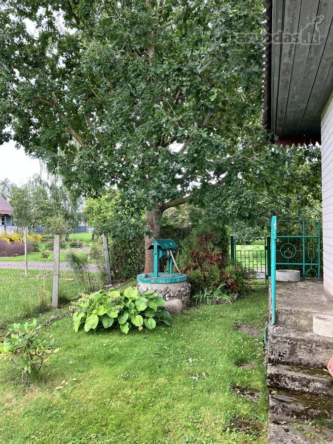 Kėdainiuose, Justinavos sodų bendrijoje - nuotraukos Nr. 5