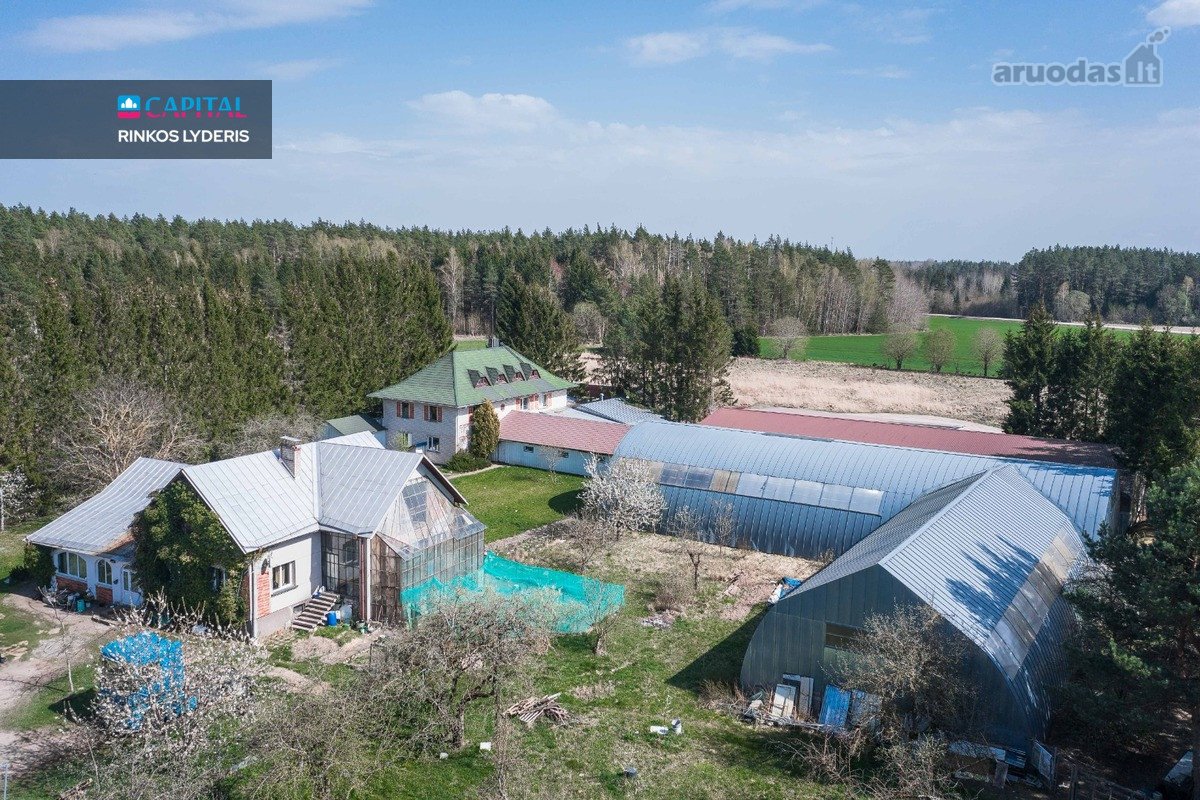 Išnuomojamos Gamybinės/sandėliavimo - nuotraukos Nr. 5