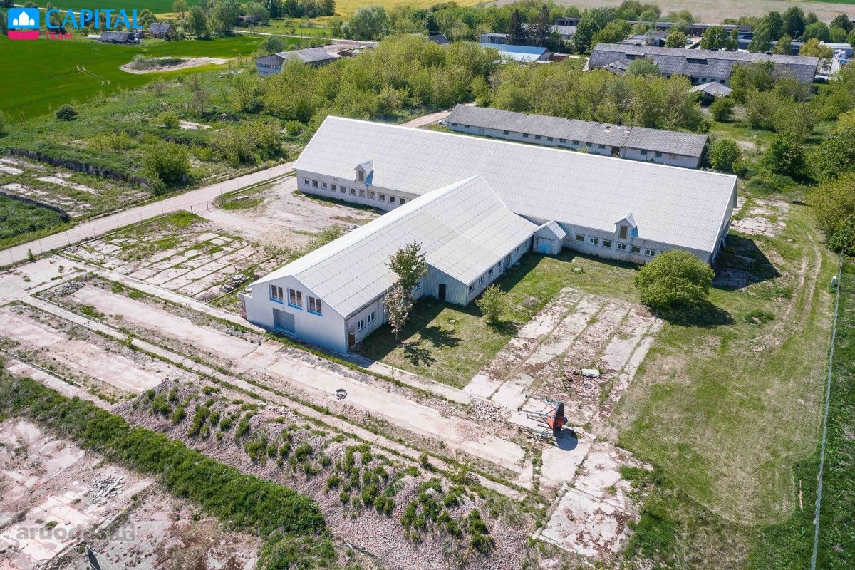 Nuomojamos Sandėliavimo Paskirties Patalpos - nuotraukos Nr. 3