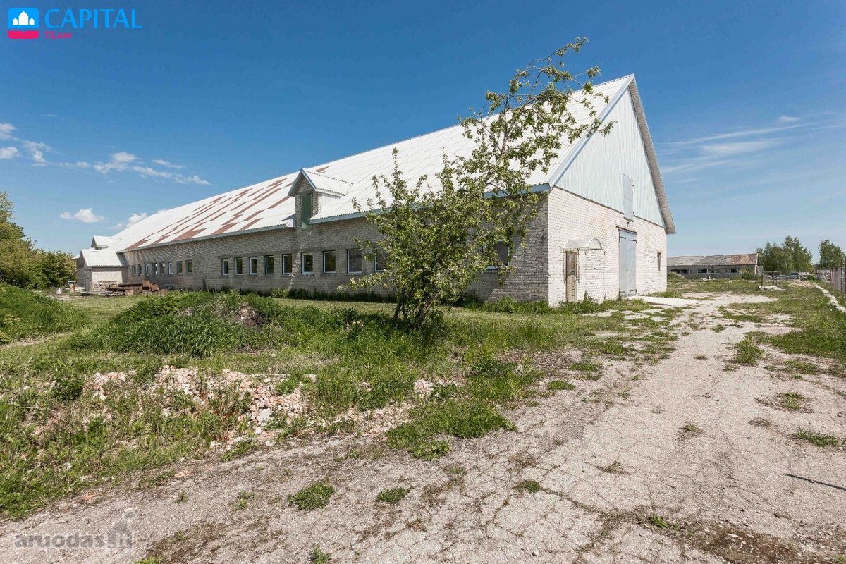 Nuomojamos Sandėliavimo Paskirties Patalpos - nuotraukos Nr. 23