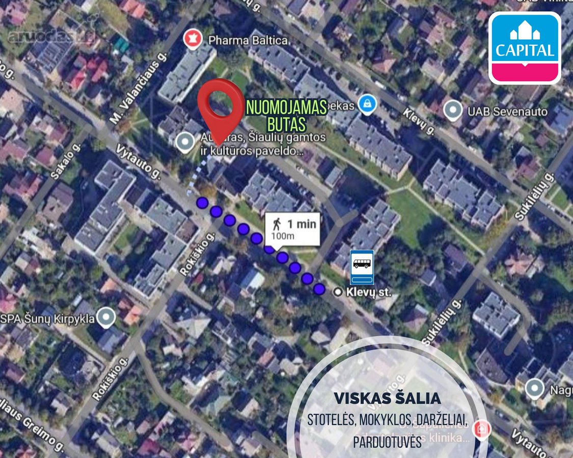 Šiaulių Miesto Centrinėje Dalyje, Vytauto G. - nuotraukos Nr. 14