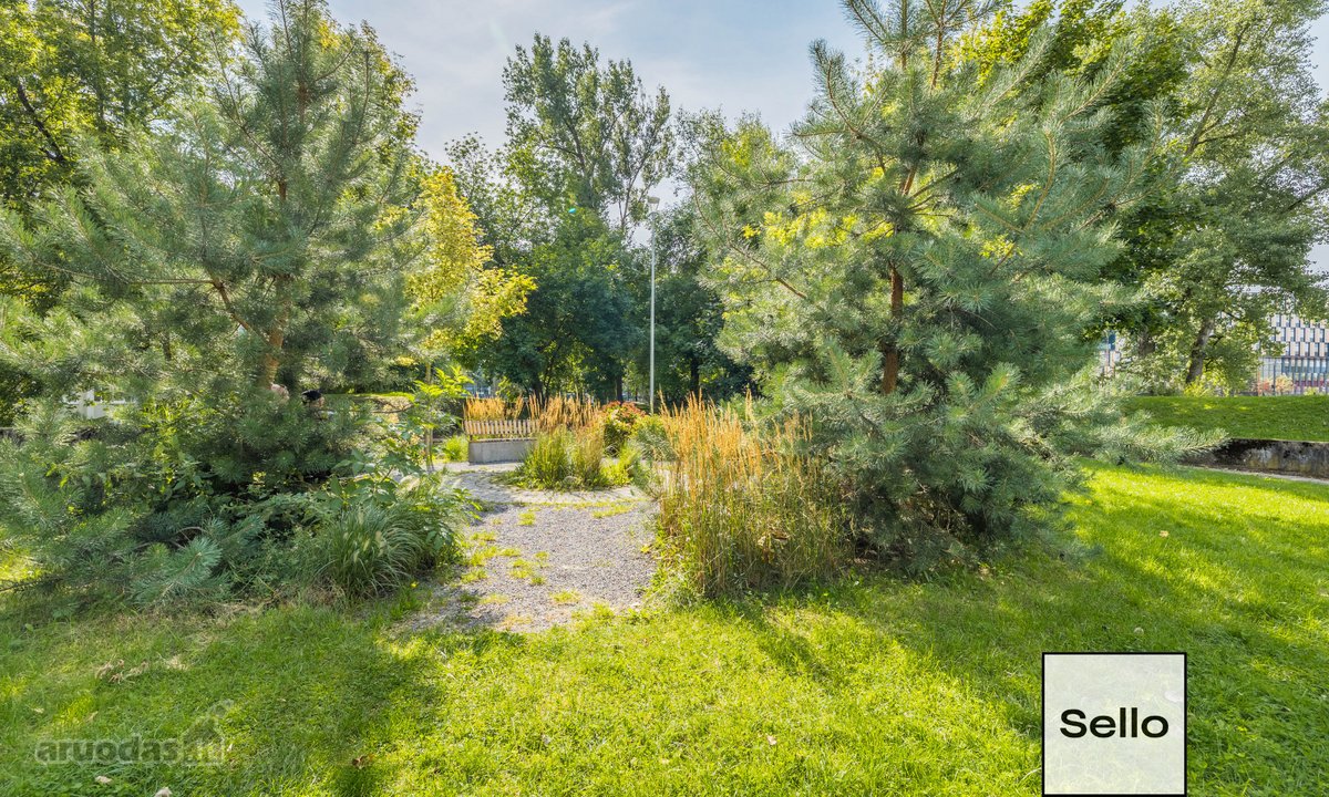  – Nt ekspertai be procentų - nuotraukos Nr. 31