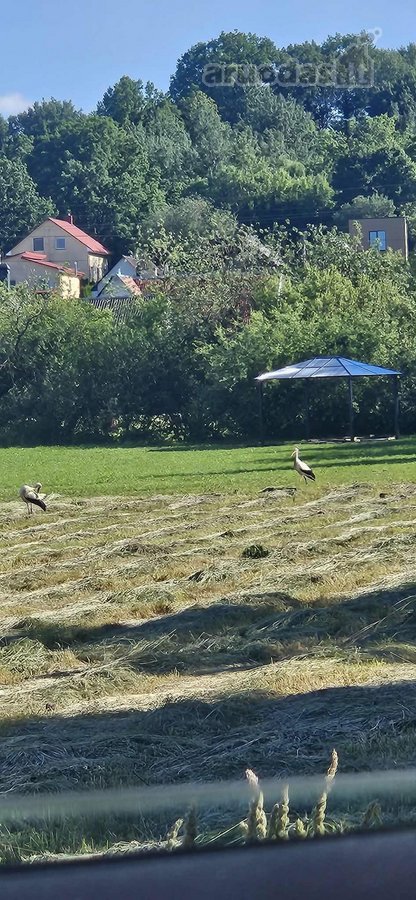 Išskirtinis 12,91 A Sklypas Revos G. – - nuotraukos Nr. 4