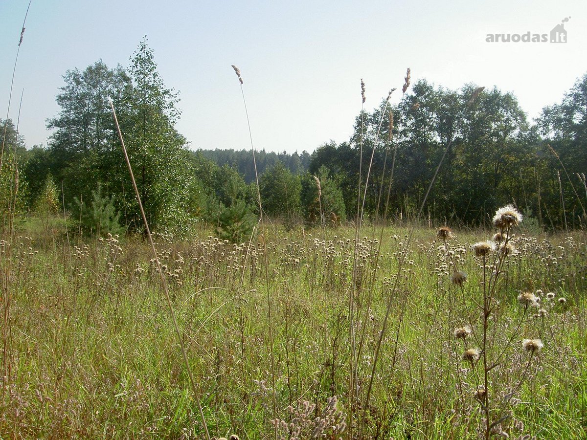 Parduodamas išskirtinis, net 8,4 hektarų - nuotraukos Nr. 13