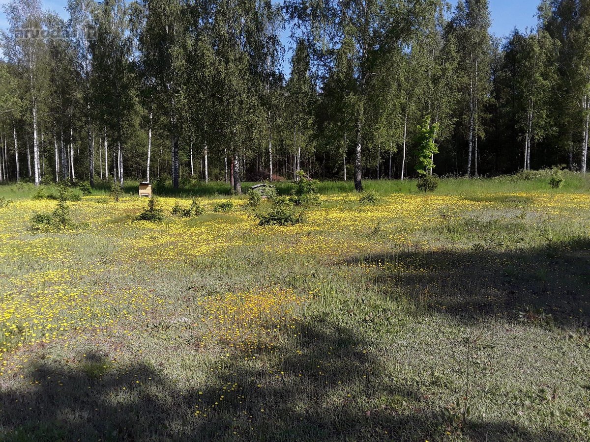 Parduodamas išskirtinis, net 8,4 hektarų - nuotraukos Nr. 17