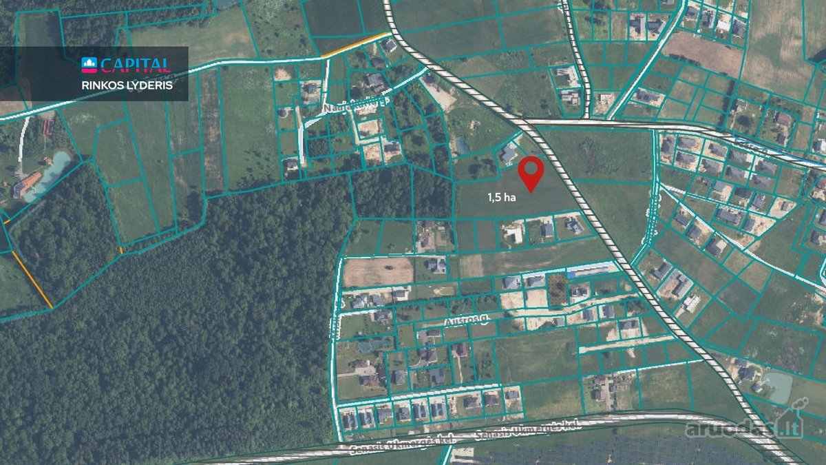 Parduodamas 1.15 Ha Žemės Ūkio Paskirties - nuotraukos Nr. 4