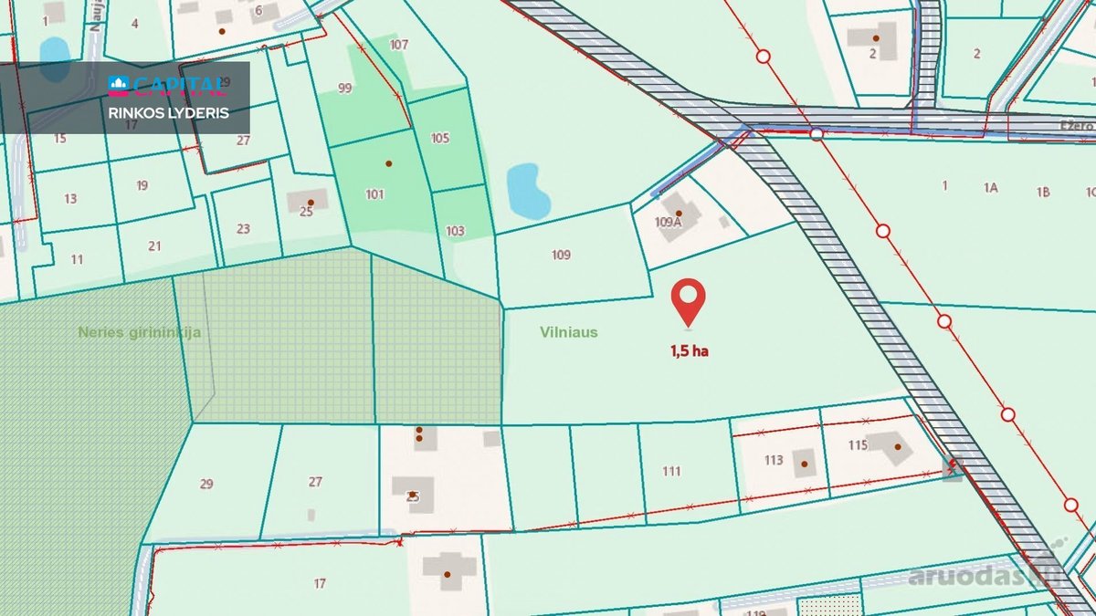 Parduodamas 1.15 Ha Žemės Ūkio Paskirties - nuotraukos Nr. 5