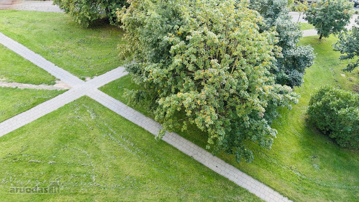 Nuomojame jaukų ir šviesų butą Naujamiestyje - nuotraukos Nr. 18
