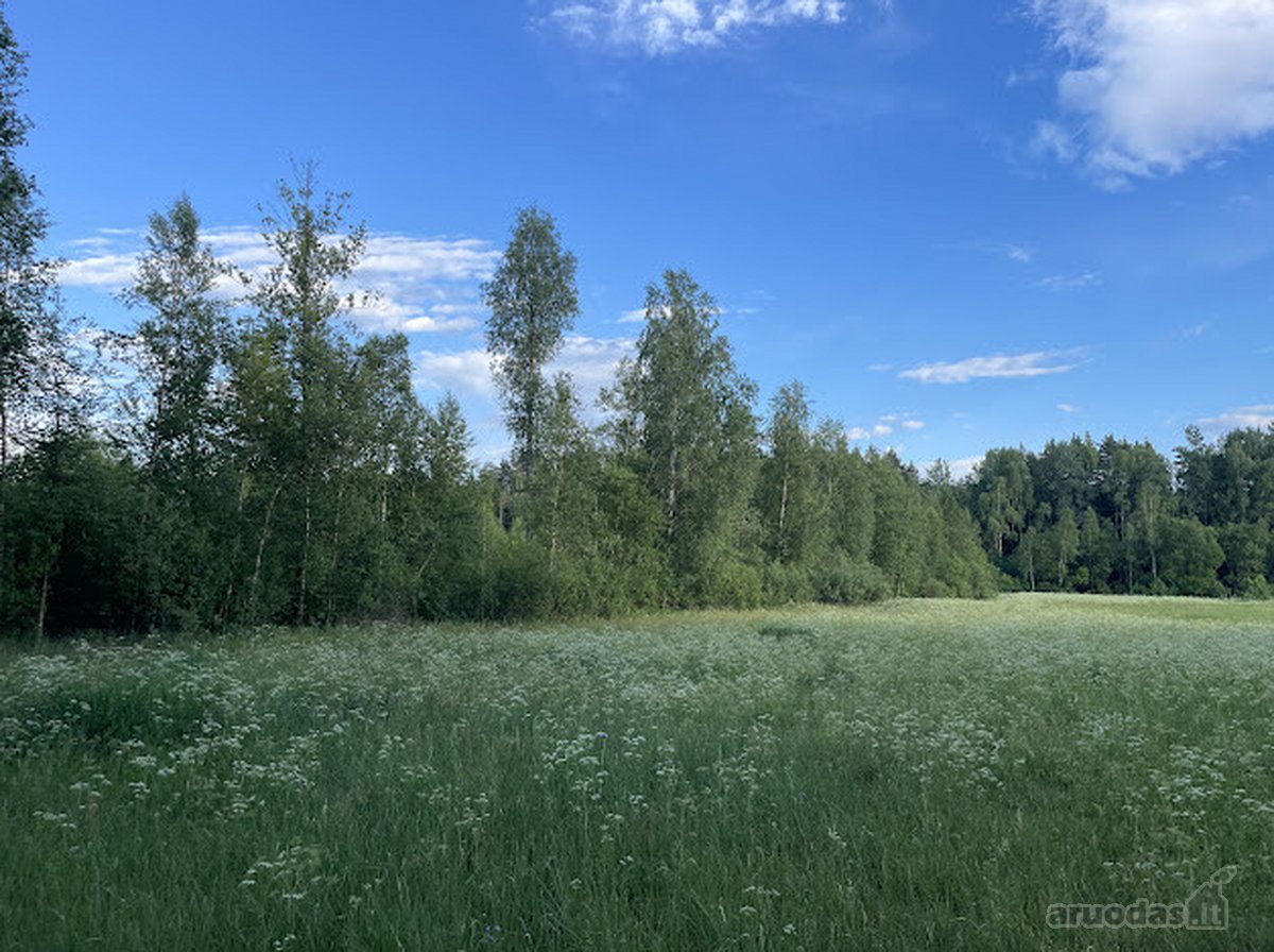 Parduodamas 2,36 ha žemės ūkio paskirties - nuotraukos Nr. 5
