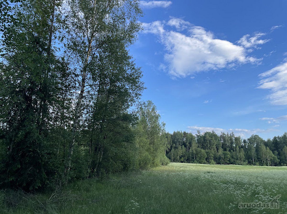 Parduodamas 2,36 ha žemės ūkio paskirties - nuotraukos Nr. 6