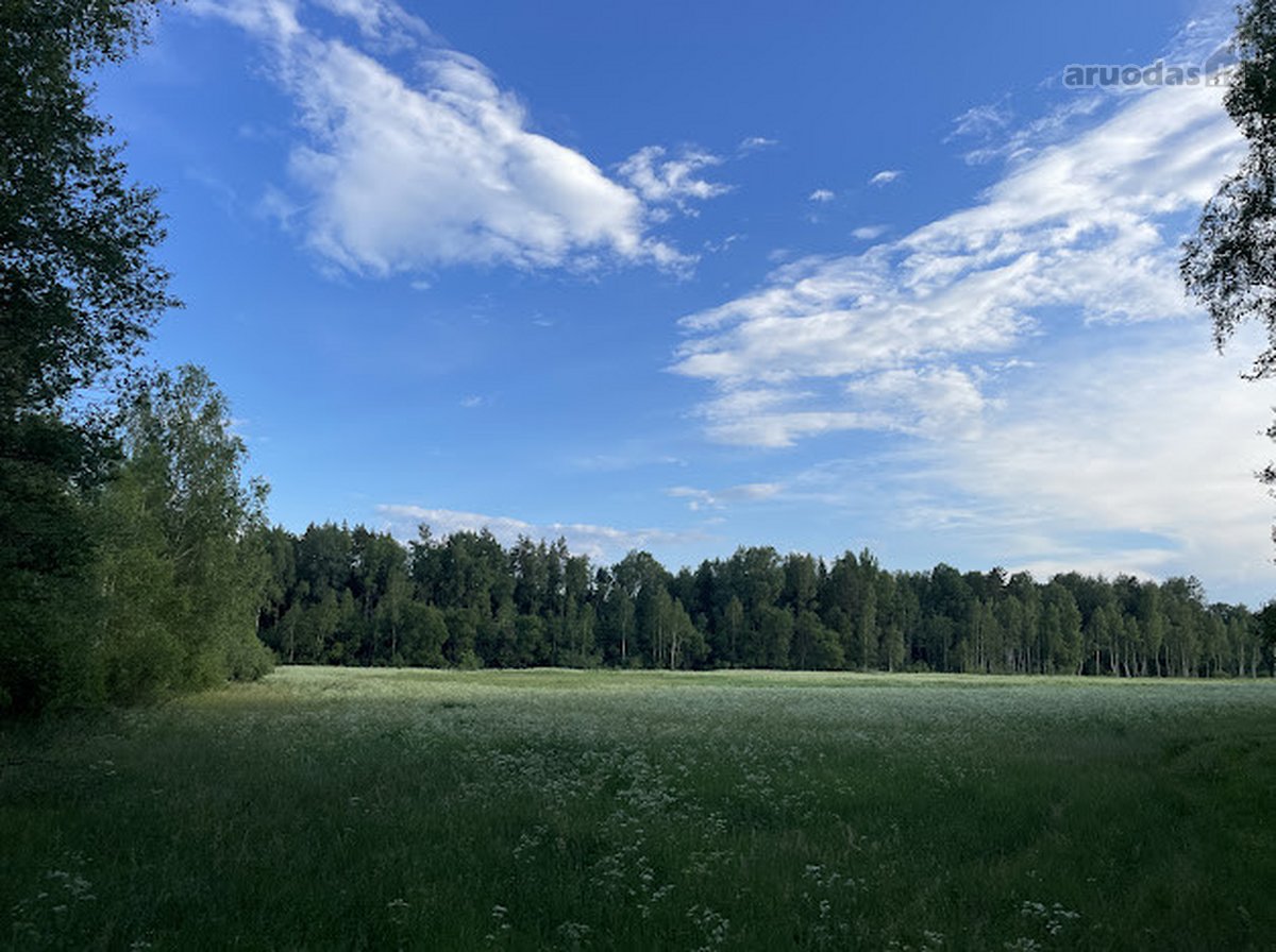 Parduodamas 2,36 ha žemės ūkio paskirties - nuotraukos Nr. 7