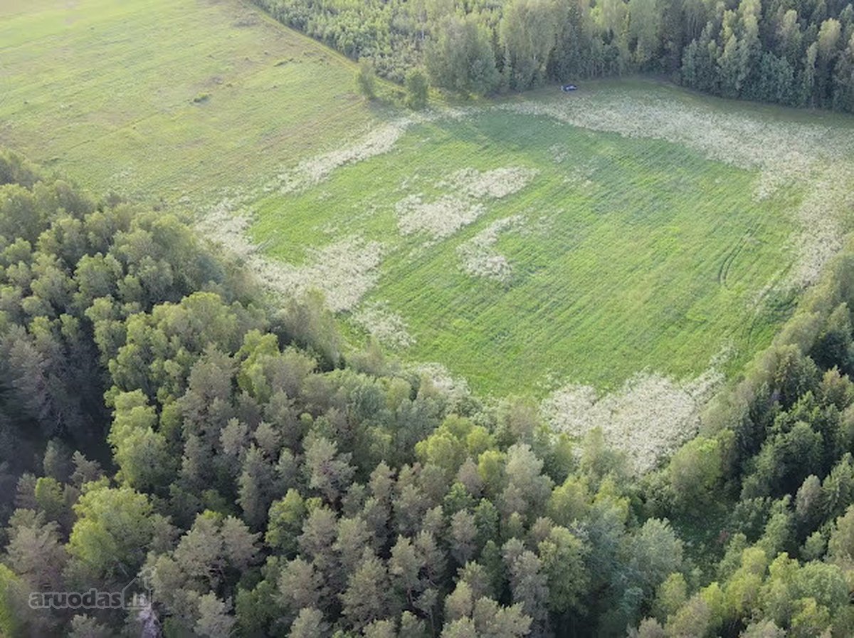 Parduodamas 2,36 ha žemės ūkio paskirties - nuotraukos Nr. 3