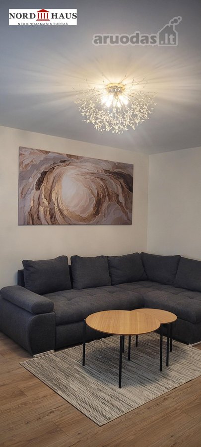 Parduodamas Arba Išnuomojamas Investicinis - nuotraukos Nr. 9