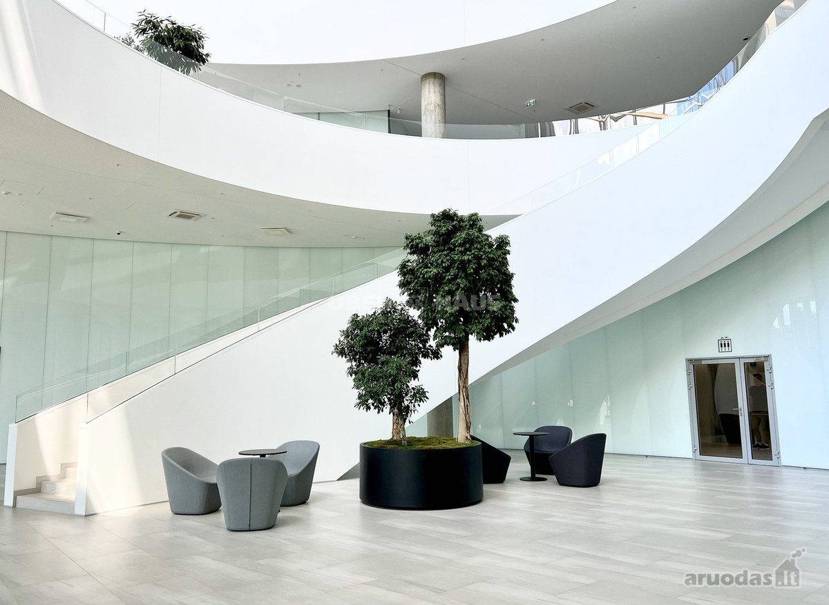 Išnuomojamos 220,64 m² ploto biuro patalpos 3 - nuotraukos Nr. 5