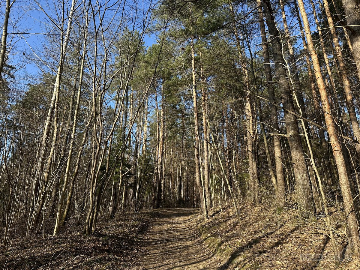 Išskirtinė Privati Rezidencinė Vieta Vilniuje  - nuotraukos Nr. 2
