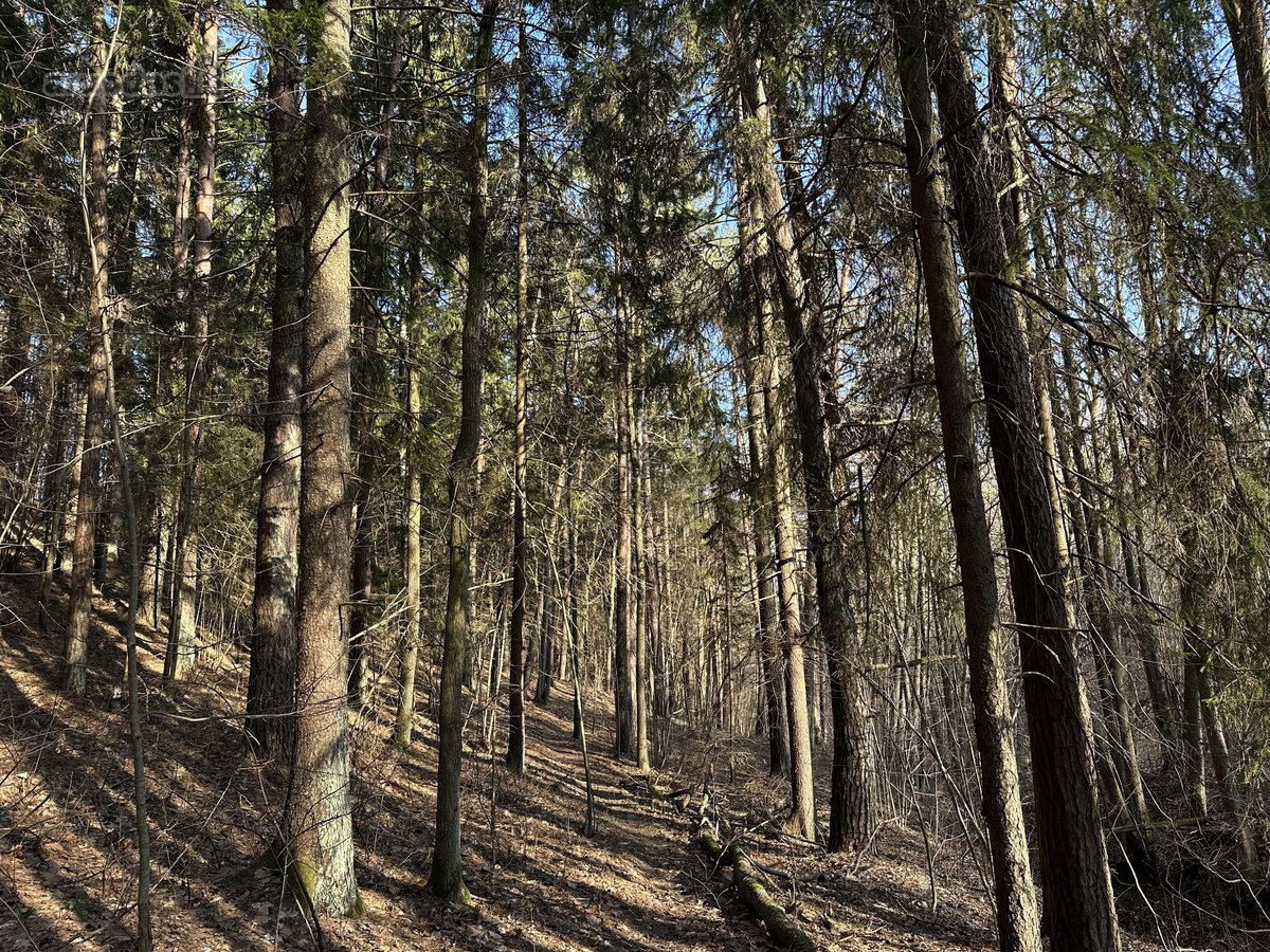 Išskirtinė Privati Rezidencinė Vieta Vilniuje  - nuotraukos Nr. 4