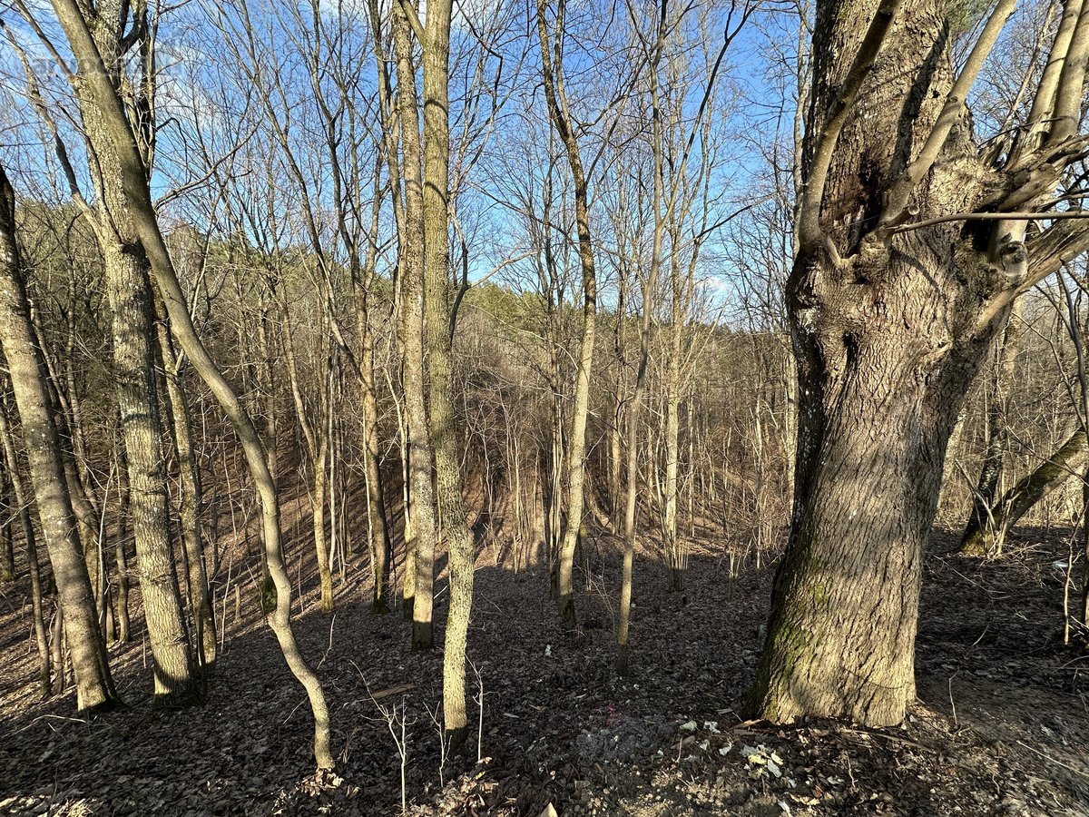 Išskirtinė Privati Rezidencinė Vieta Vilniuje  - nuotraukos Nr. 20