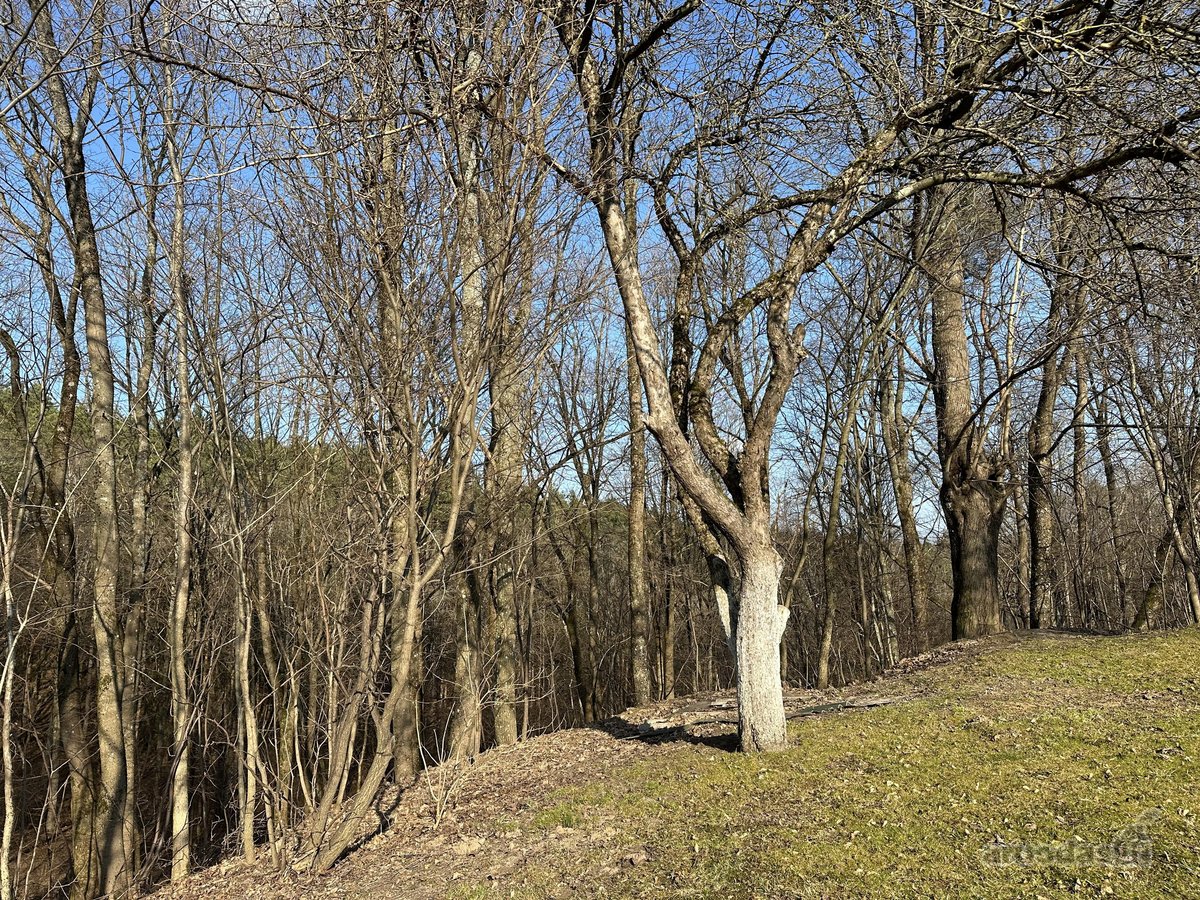 Išskirtinė Privati Rezidencinė Vieta Vilniuje  - nuotraukos Nr. 22