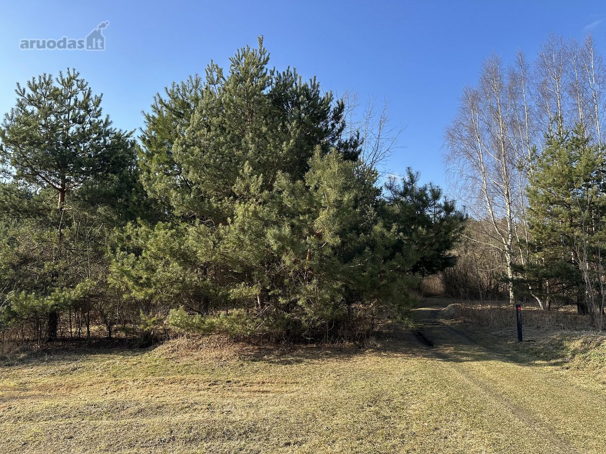 Išskirtinė Privati Rezidencinė Vieta Vilniuje  - nuotraukos Nr. 27