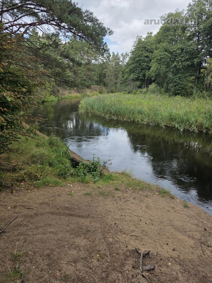 Parduodamas 42.01 m² dviejų kambarių butas. - nuotraukos Nr. 21