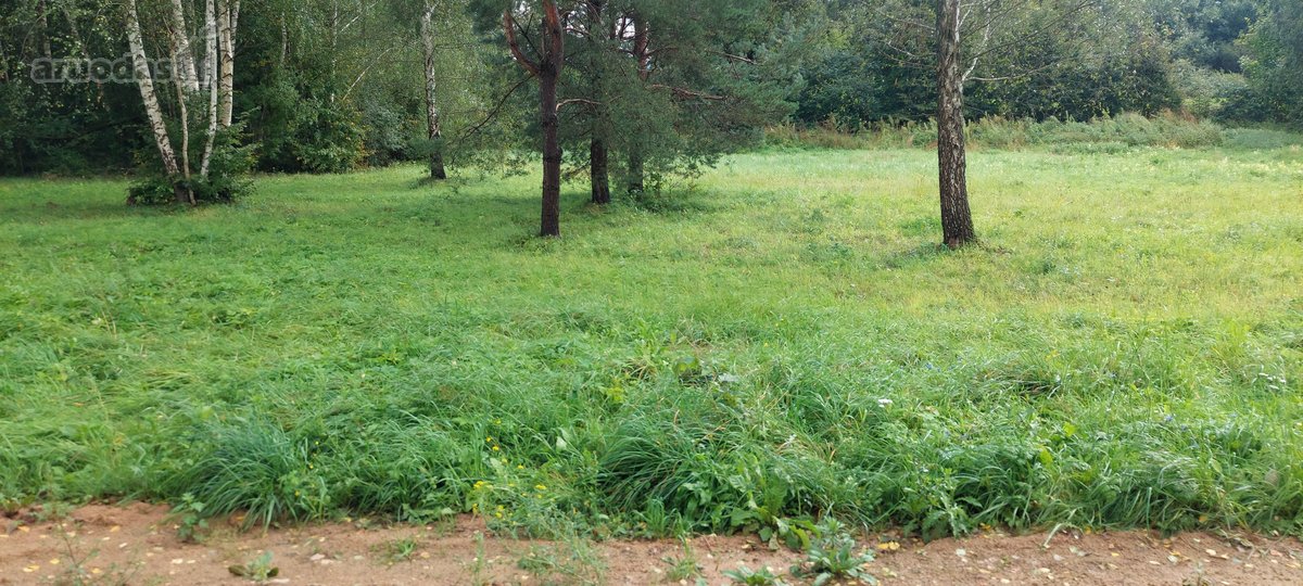 Parduodamo sklypo kaina nurodyta su PVM, - nuotraukos Nr. 3