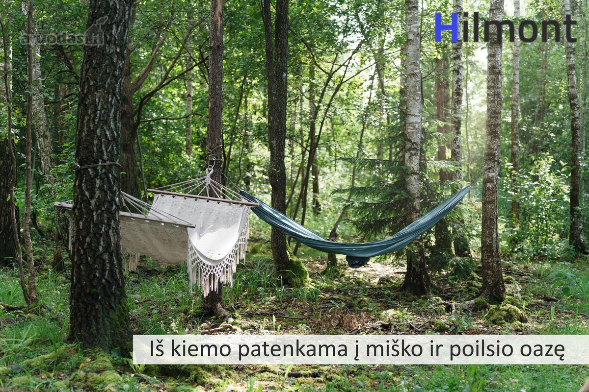 Išskirtinėje Vilniaus Vietoje, Veržuvos - nuotraukos Nr. 38