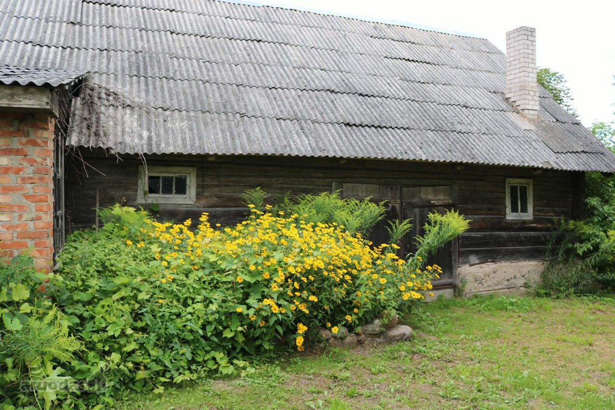 4 pastatų sodyba su dideliu sodu, - nuotraukos Nr. 26