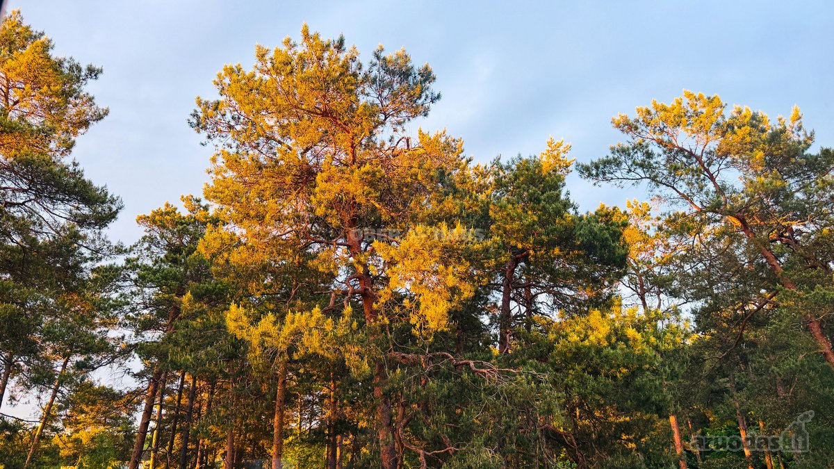 Šviesus ir visiškai rekonstruotas 4 kambarių - nuotraukos Nr. 18